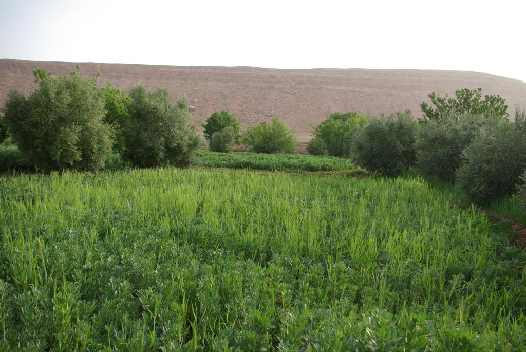 Maison D'Hotes Nouflla Ait Ben Haddou Bagian luar foto